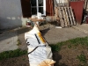 Tente_Bourguignonne_073